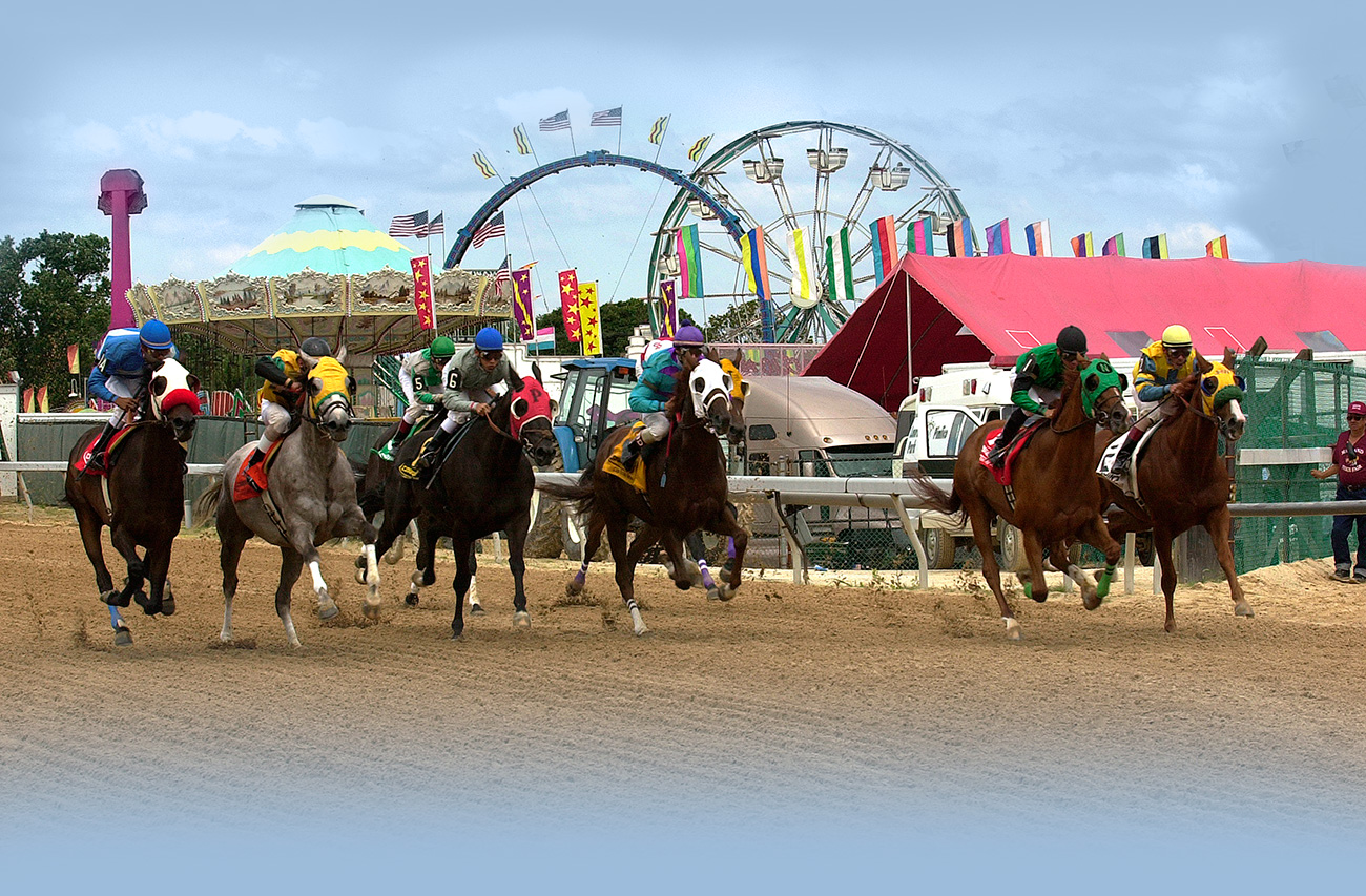 Maryland County Fairs 2024 Heda Rachel